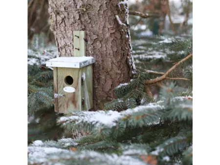 Nestkast winterkoning - afbeelding 4