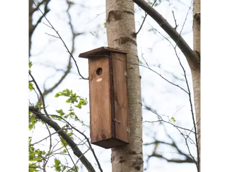 Nestkast grote bonte specht - afbeelding 3