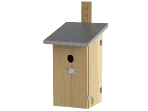 Observatienestkast - afbeelding 4