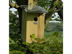 Observatienestkast - afbeelding 4