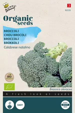 Broccoli Calabrese natalino