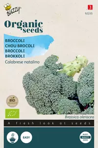 Broccoli Calabrese natalino