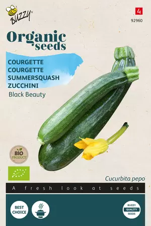 Courgette Black Beauty