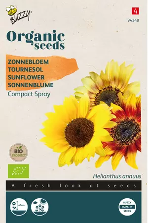 Zonnebloem Compact Spray