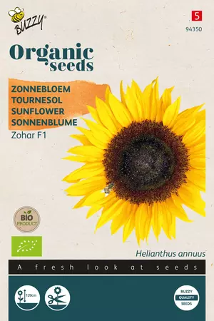 Helianthus, Zonnebloem Zohar F1