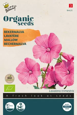 Lavatera, Bekermalva rose/rood