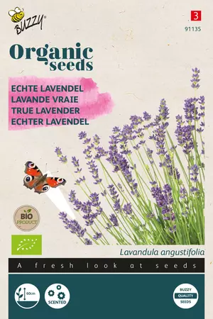 Lavendel Echte