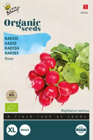 Radijs Raxe