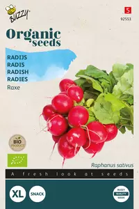Radijs Raxe