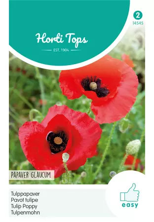 Papaver, Tulppapaver