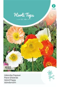 Papaver, IJslandse Papaver gemengd