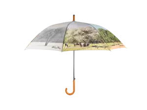 4 seizoenen paraplu - afbeelding 1