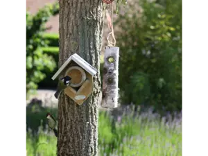 Vogelpindakaas met stukjes noot - afbeelding 2