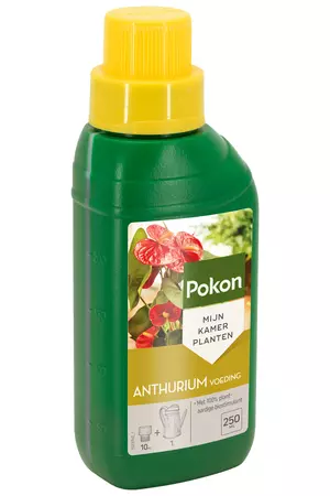 Pokon Anthurium Voeding 250ml - afbeelding 1