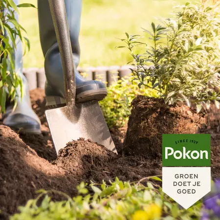 Pokon Bio Aanplantgrond Tuinplanten, Bomen & Hagen 30L - afbeelding 4