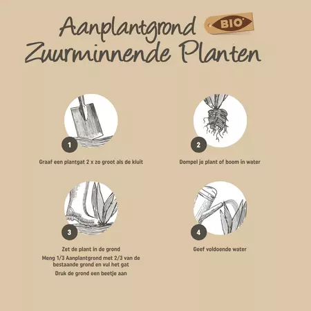 Pokon Bio Aanplantgrond voor Zuurminnende Planten 30L - afbeelding 3