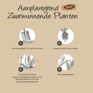 Pokon Bio Aanplantgrond voor Zuurminnende Planten 30L - afbeelding 3