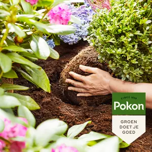 Pokon Bio Aanplantgrond voor Zuurminnende Planten 30L - afbeelding 4