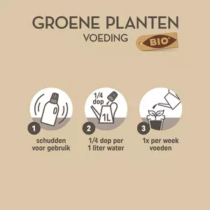 Pokon Bio Groene planten Voeding 250ml - afbeelding 3