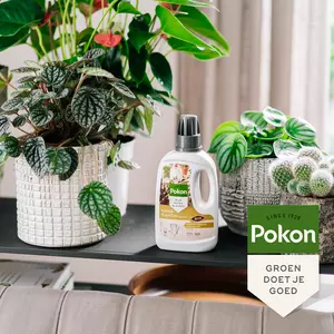 Pokon Bio Kamerplanten Voeding 500ml - afbeelding 4