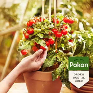 Pokon Bio Moestuin Mest 1kg - afbeelding 4