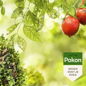 Pokon Bio Plantkuur Bladinsectgevoelige Planten Concentraat 500ml - afbeelding 4