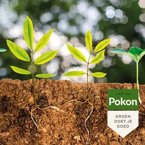 Pokon Bio Plantkuur Bodeminsectgevoelige Planten Concentraat 500ml - afbeelding 4