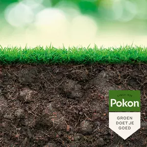 Pokon Bio Plantkuur Grasinsectgevoelige Gazons Concentraat 500ml - afbeelding 4
