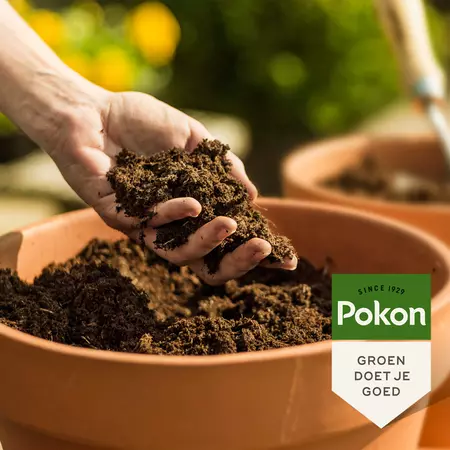 Pokon Bio Potgrond 10L - afbeelding 4