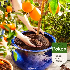 Pokon Bio Potgrond Mediterrane Planten 30L - afbeelding 4