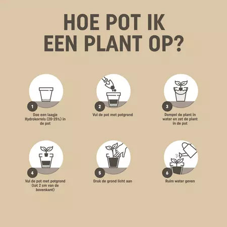 Pokon Bio Potgrond Rozen 30L - afbeelding 3