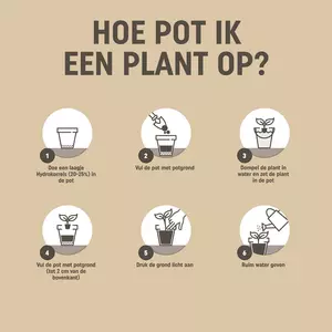 Pokon Bio Potgrond Rozen 30L - afbeelding 3