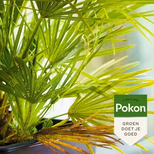 Pokon Bio Tegen Hardnekkige Insecten Polysect Concentraat 175ml - afbeelding 4