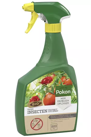 Pokon Bio Tegen Insecten Polysect GYO Spray 800ml - afbeelding 1