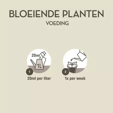 Pokon Bloeiende Planten Voeding 250ml - afbeelding 3