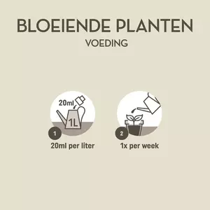 Pokon Bloeiende Planten Voeding 250ml - afbeelding 3