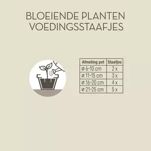 Pokon Bloeiende Planten Voedingsstaafjes 24st - afbeelding 3