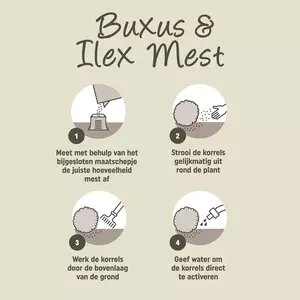 Pokon Buxus & Ilex Mest 1kg - afbeelding 3