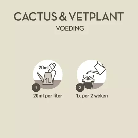 Pokon Cactus & Vetplant Voeding 250ml - afbeelding 3