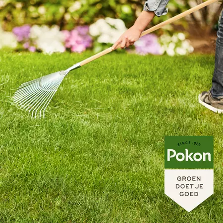 Pokon Gazonmest met Kalk 1kg voor 15m² - afbeelding 4