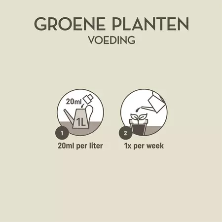 Pokon Groene Planten Voeding 250ml - afbeelding 3