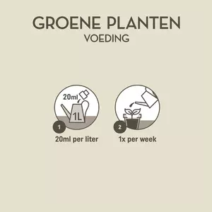 Pokon Groene Planten Voeding 250ml - afbeelding 3