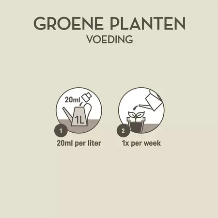 Pokon Groene Planten Voeding 500ml - afbeelding 3