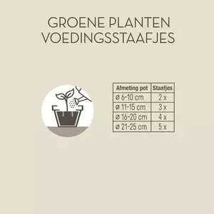 Pokon Groene Planten Voedingsstaafjes 24st - afbeelding 3