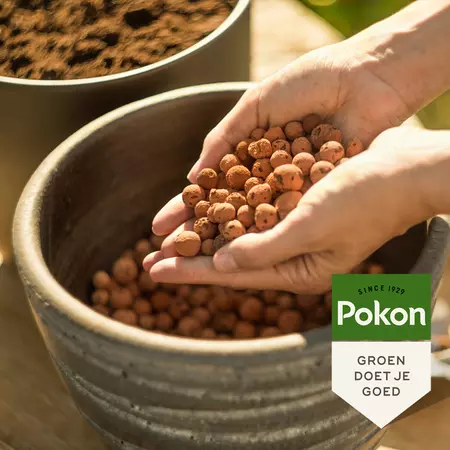 Pokon Hydrokorrels 5L - afbeelding 4