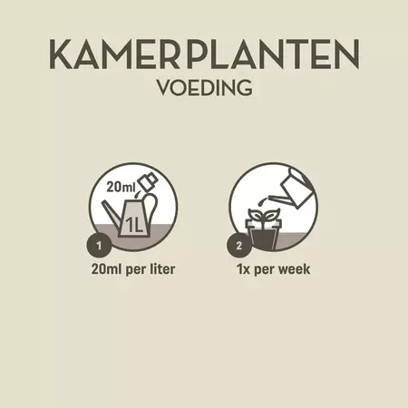 Pokon Kamerplanten Voeding 250ml - afbeelding 3