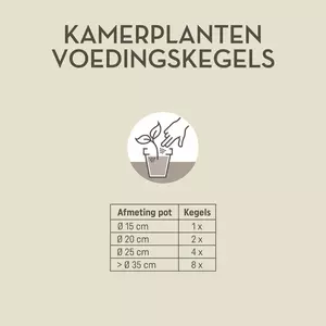 Pokon Kamerplanten Voedingskegels 10st - afbeelding 3