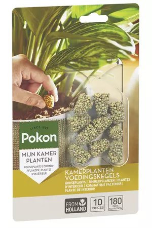 Pokon Kamerplanten Voedingskegels 10st - afbeelding 1