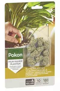 Pokon Kamerplanten Voedingskegels 10st - afbeelding 1