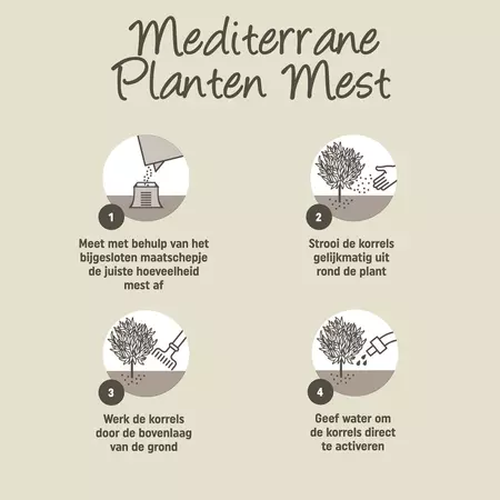 Pokon Mediterrane Planten Mest 1kg - afbeelding 3